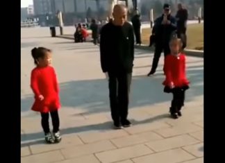 Alle ble imponert av denne bestefaren og hans to barnebarn!