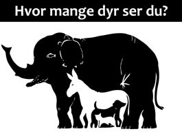 Kun noen få klarer å finne alle dyrene.