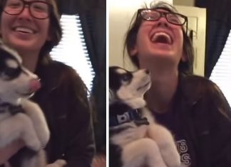 Har du noen gang hørt en hund forsøke å prate som et menneske? Se dette utrolige klippet.