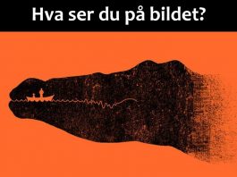 Dette kan si noe om din personlighet: Hva ser du først?
