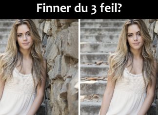 Kun 4% klarer å finne 3 feil i bildene under. Finner du de?