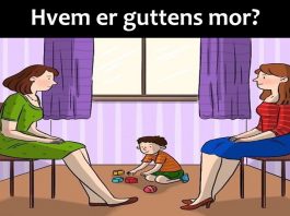 Hvem av kvinnene er guttens mor?