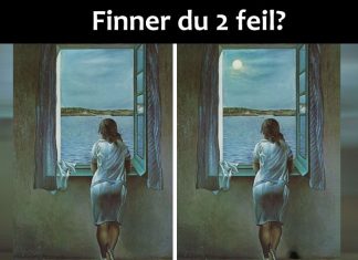 Klarer du å finne 2 feil i bildene?