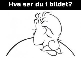 Dette kan si noe om din personlighet: Hva ser du først i bildet?