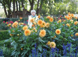 105-åringen Dagny nekter å bli gammel. Dette mener hun er “hemmeligheten”!
