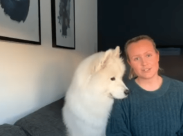 Den norske hunden Ghost tar internett med storm. Se hundens unike talent!